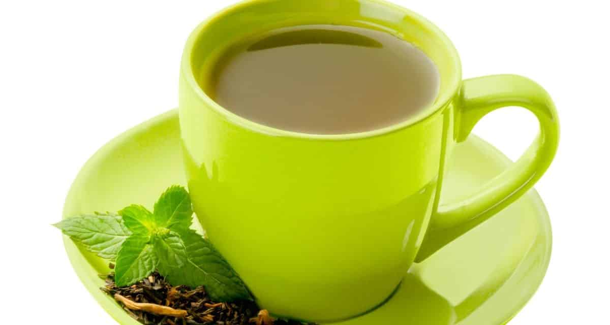 Zöld tea mire jó? Antioxidánsok és koffein