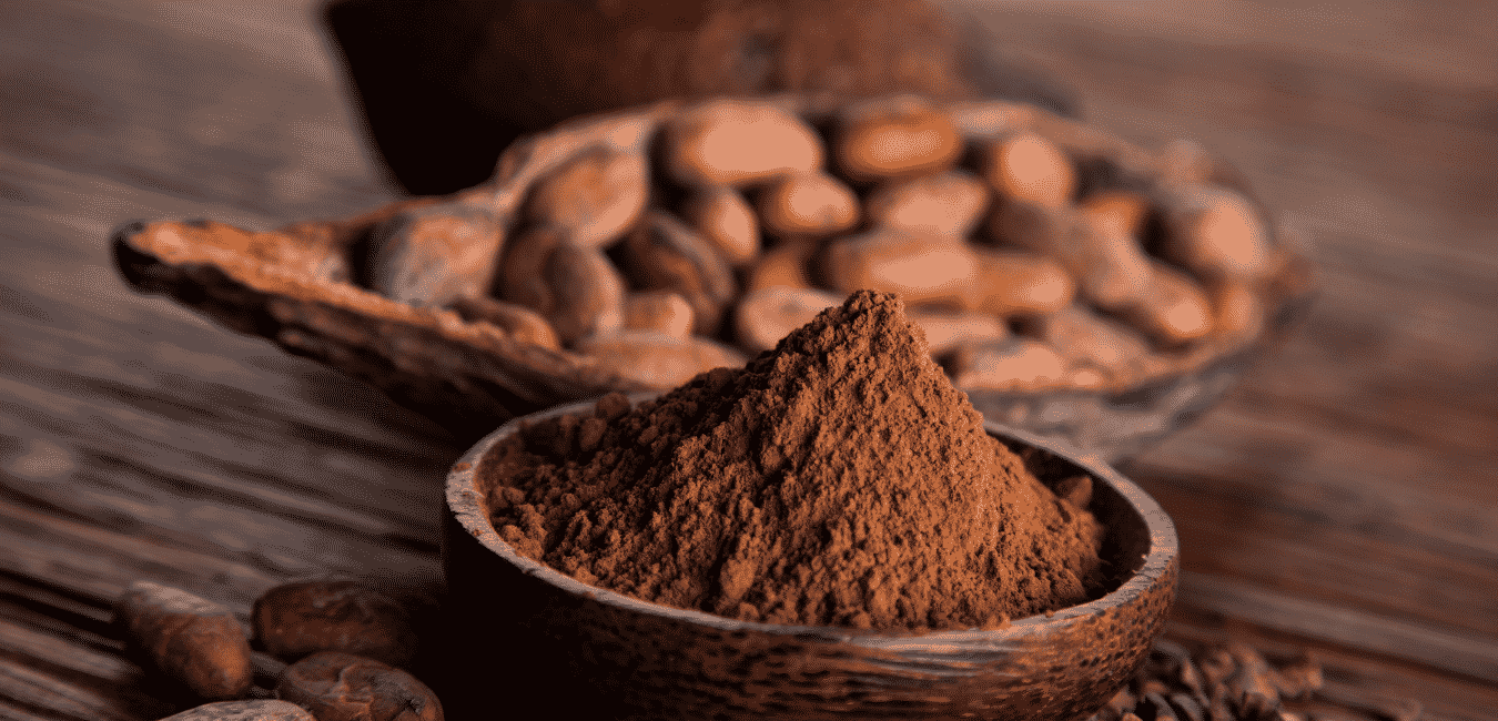 Kakaopor tortenete es termesztese 1