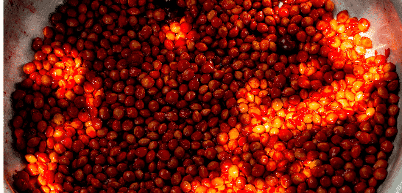 Mahleb - Cseresznyemag fűszer története