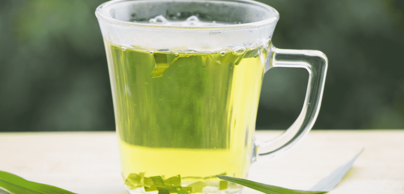 Orvosi citromfu tea 3